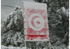 Photos : Ain Draham sous la neige Photos : Ain Draham sous la neige