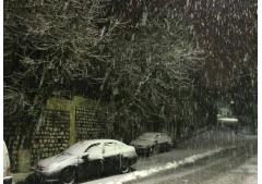 Photos : Ain Draham sous la neige Photos : Ain Draham sous la neige