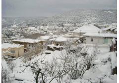 Photos : Ain Draham sous la neige Photos : Ain Draham sous la neige